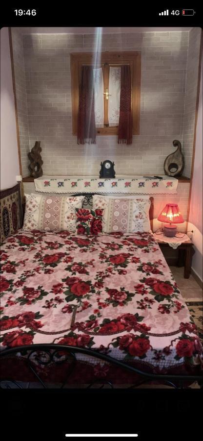 Η Θεα Traditional House Makrinitsa Exterior photo